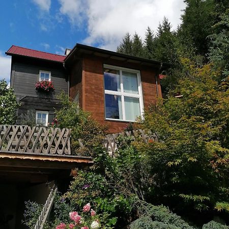 Waldhaus Klein-Veitsch, Auszeit Im Gruenen Daire Niederaigen Dış mekan fotoğraf